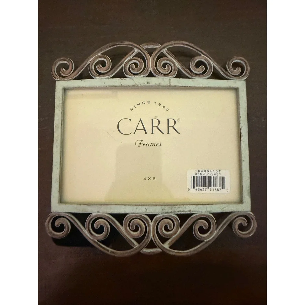 Carr Frames 4x6 Horizontal Metal Scroll Picture Frame Distressed Seafoam Green